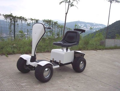 ELECTRIC CART SINGLE SEATER